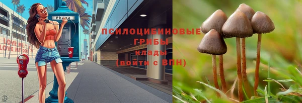 а пвп мука Навашино