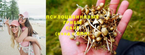 крисы Наволоки