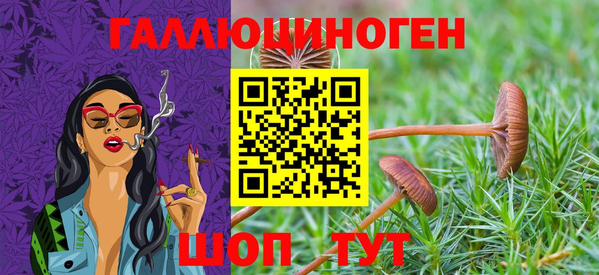 Галлюциногенные грибы Magic Shrooms  Вход с VPN  Псилоцибиновые грибы Psilocybine cubensis  Кызыл 