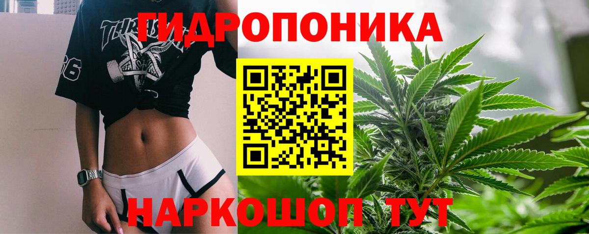 Кызыл  Шишки марихуана Bruce Banner  Вход с VPN  Конопля семена  МАРИХУАНА семена  Каннабис OG Kush 
